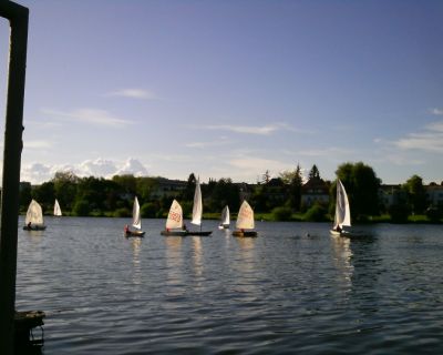 Neckar, Heidelberg