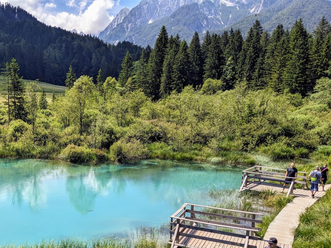 Zwei Forellen in ihrem See mit Blick auf die Berge.